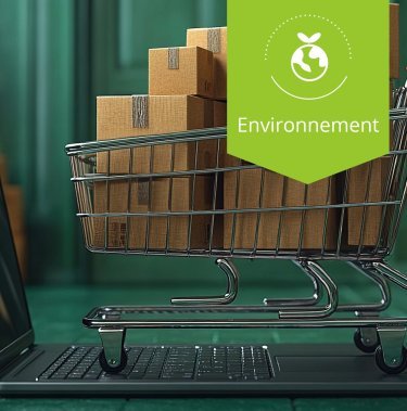 Recyclage carton en entreprise : transformez vos déchets en atout RSE avec Mil-Tek