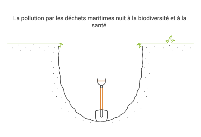 Conséquence de la pollution par les déchets maritimes : nuisance biodiversité et santé